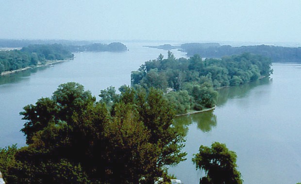 Rezerwat "Nadgoplaski Park 1000-lecia"