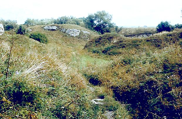 Zbiorowiska rolinnoci ciepolubnej