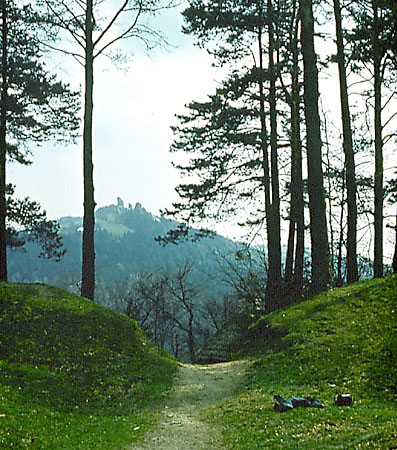 Widok na rezerwat ''Przdki'' spod zamku ''Kamieniec''