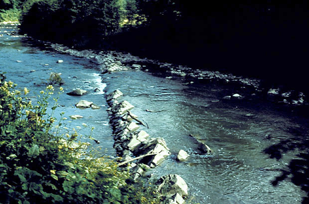 Skalne progi w korycie Osawy