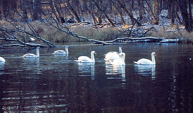 Mazurski Park Krajobrazowy