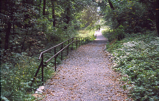 PK Dolinki Krakowskie - cieka dla niepenosprawnych