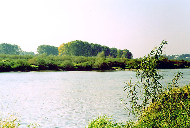 OChK Doliny Wisy - korytarz ekologiczny