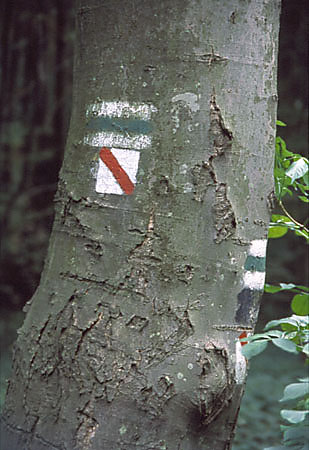 Oznakowanie cieki dydaktycznej