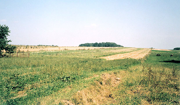 Kpy lene wrd pl powinny by chronione jako uytki ekologiczne