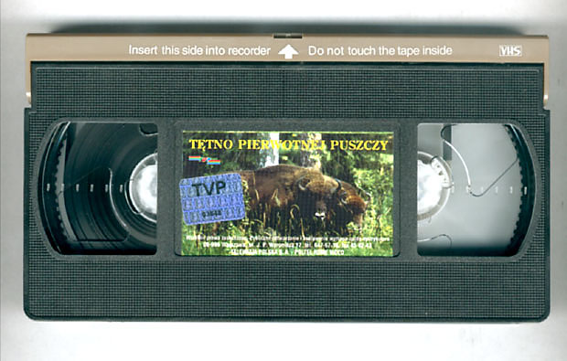 Cykl filmów video o Puszczy Białowieskiej