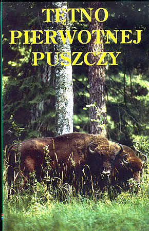 Cykl filmw video o Puszczy Biaowieskiej