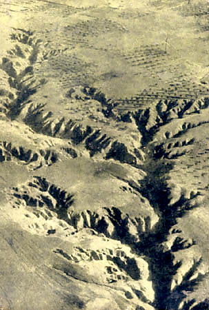 "Oskalpowana Ziemia" dr A. Lekowej - okadka