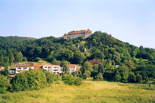Rezerwat znajduje si na zachodnim kracu Lasu Wolskiego