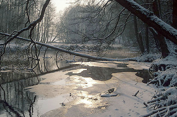 Rzeka Pociczna zim