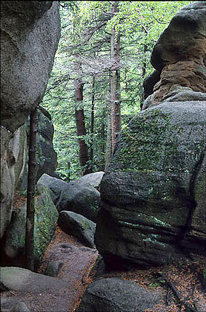 ''Diabli Kamie'' koo Folusza