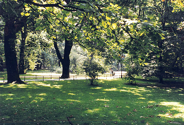 Jeden ze zrewaloryzowanych ''ogrodw''