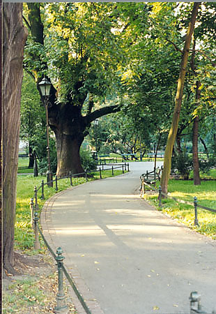 Planty w Krakowie - zrewaloryzowany Ogrd ''Paac Sztuki''