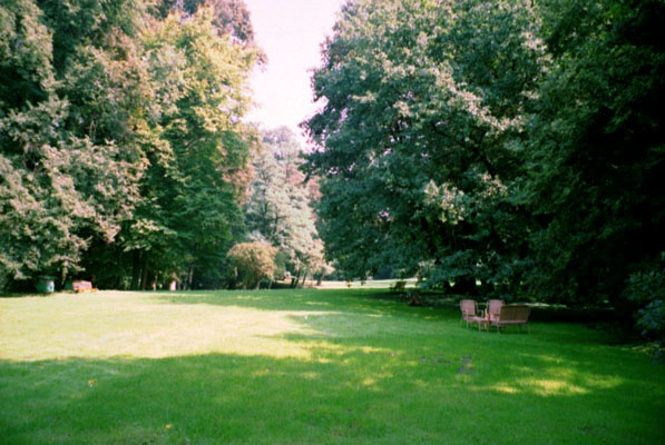 rodek parku zajmuje duga, nieregularna polana