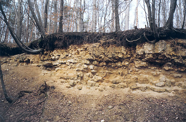 Stanowisko dokumentacyjne pod wzgrzem Czerwieniec