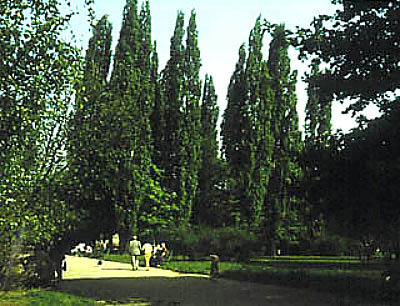 Krakw - zieleniec na jednym z nowohuckich osiedli