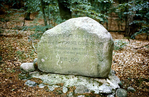 Rezerwat im. Prof. Zygmunta Czubiskiego