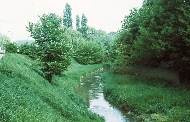 Krakw - rzeka Biaucha