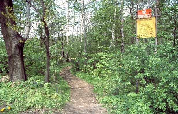 Rezerwat "Cieszynianka"