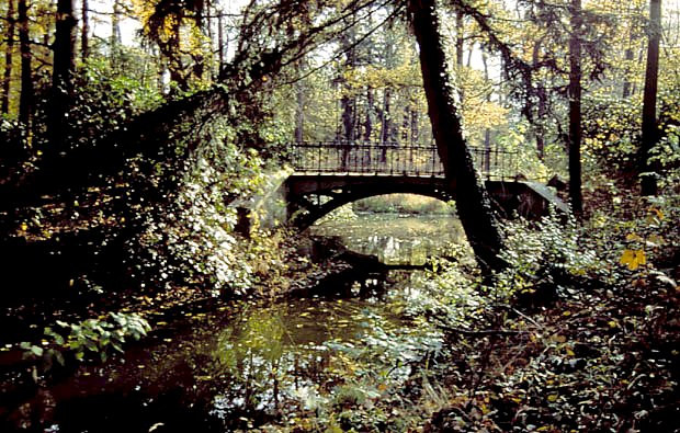 Park zamkowy w Mosznej (woj. opolskie)