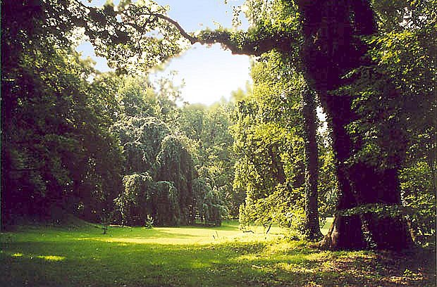 Jedno z wntrz krajobrazowych