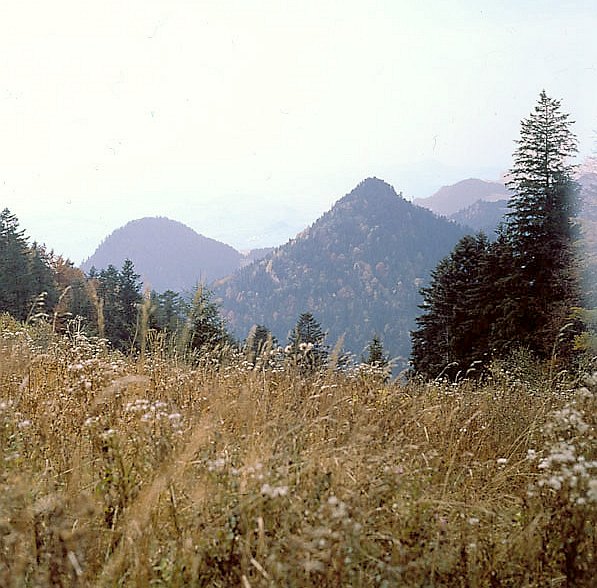 ka zioorolowa pod Trzema Koronami