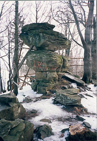 Diabelski Kamie na Jaworzynie Krynickiej