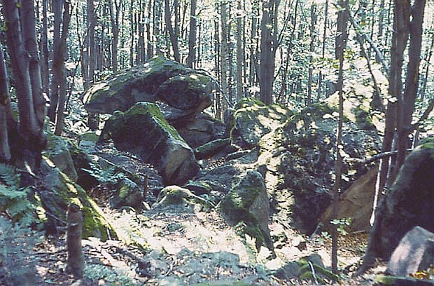 Rezerwat ''Kornuty''