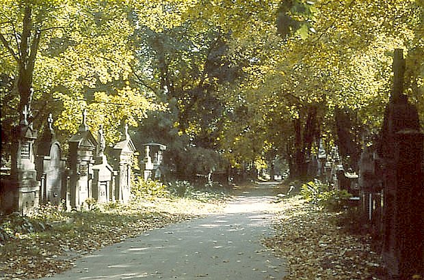 Zabytkowy cmentarz z pikn zieleni