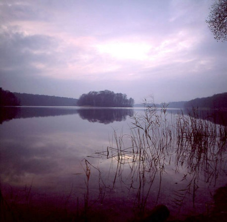 Wielkopolski PN - mgy nad Jez. Greckim