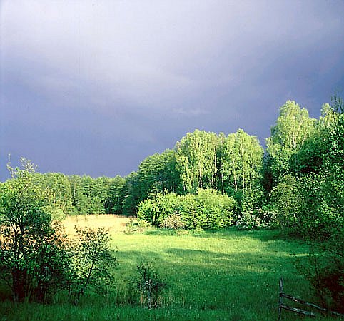 Krajobraz okolic Moczel