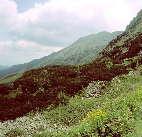 Widok na Diablak spod Kocikw