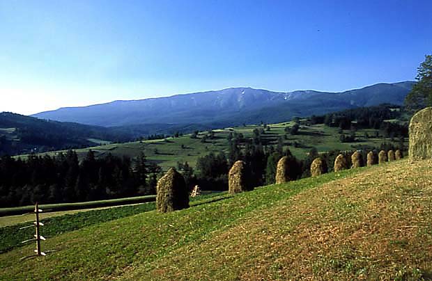 Masyw Babiej Gry z okolicy Wideek