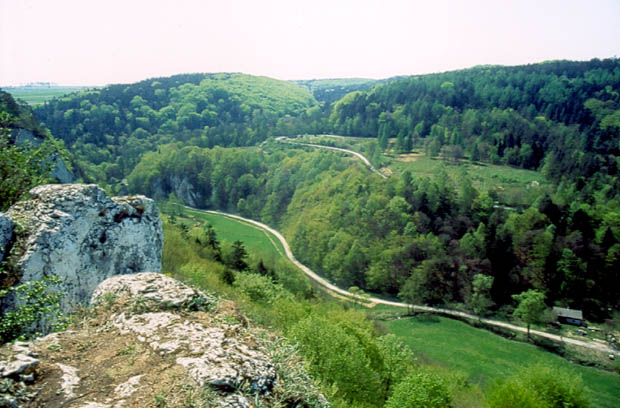 Widok z Gry Koronnej na pd. cz Doliny Prdnika