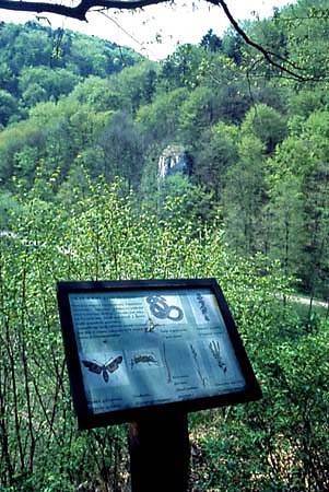 Przykład tablicy informacyjnej na ścieżce dydaktycznej