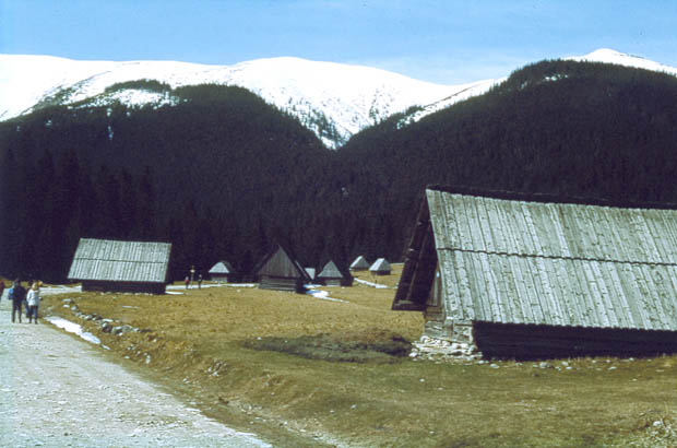 Tatrzaski PN - szaasy na Polanie Chochoowskiej