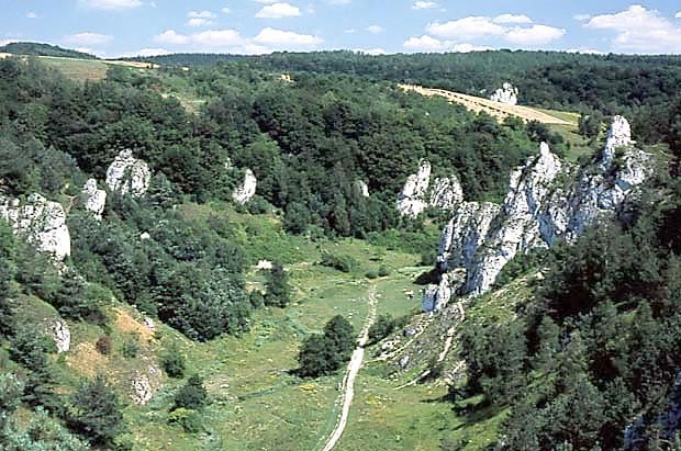 PK Dolinki Krakowskie - Dolina Kobylaska