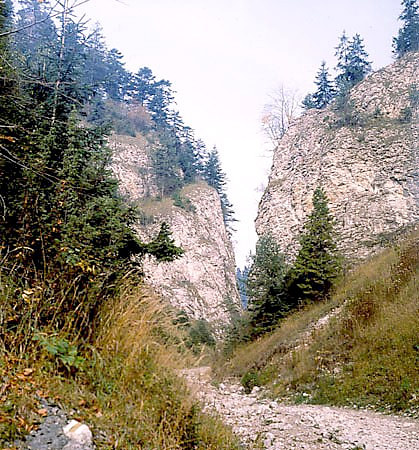 Wlot do Wwozu Sobczaskiego