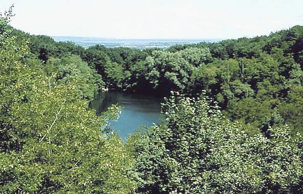 Szczeciski PK - Puszcza Bukowa