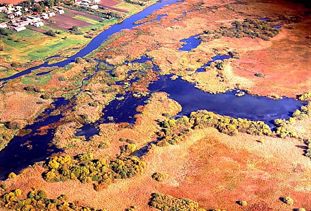 Dolina Narwi z lotu ptaka