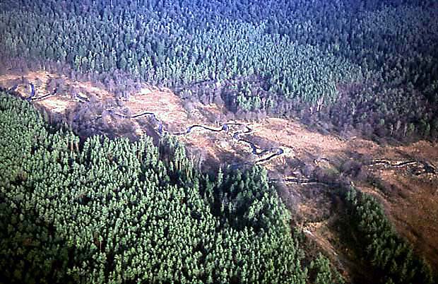 Dolina Wieprza z lotu ptaka