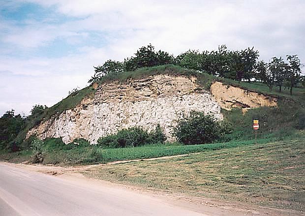 Odsonicie w Trojanowicach