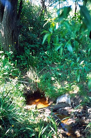 Mofeta w Zockim Potoku