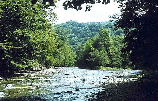 Rezerwat "Sine Wiry"