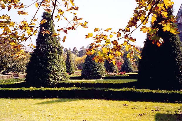 Geometryczny "ogrdek woski"