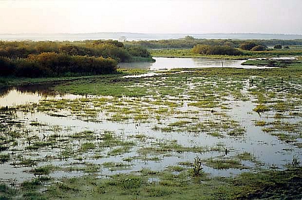 Dolna Biebrza - "Biay Grd"