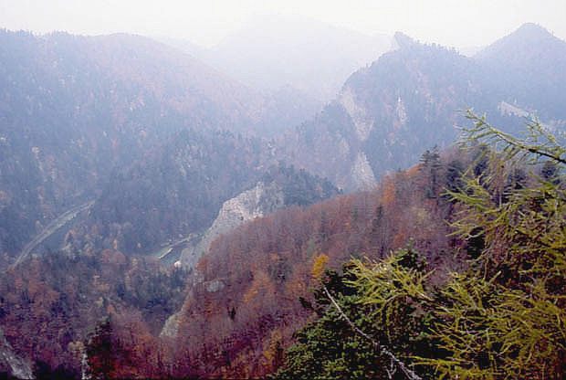 Przeom Pieniski widziany z Bystrzyka