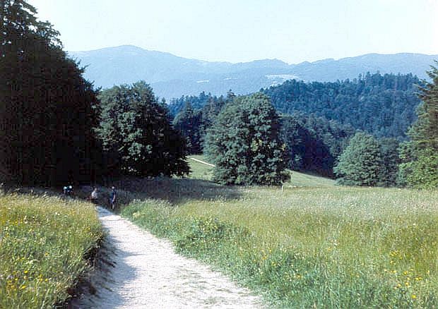 Cig malowniczych polan wzdu szlaku z Krocienka  na prze. Szopka