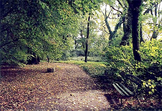 Arboretum Ogrodu Botanicznego w Krakowie