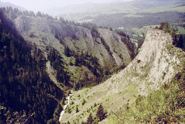 Rezerwat ''Wwz Homole'' w otulinie parku